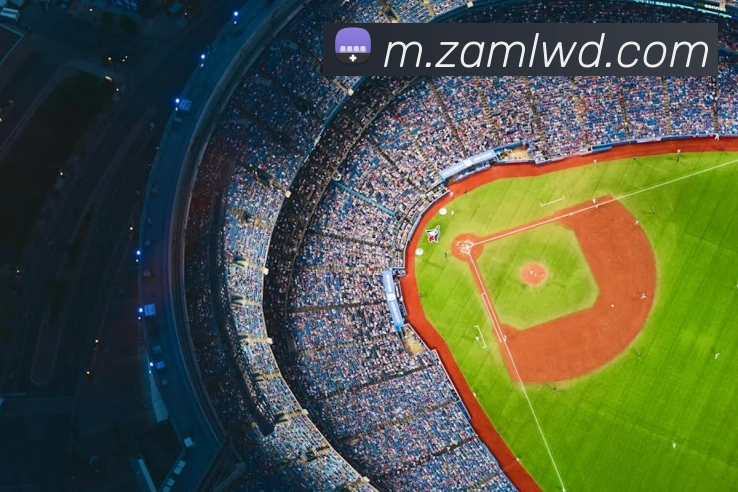 App Interface Preview