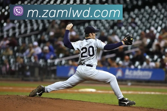 问鼎娱乐APP 封面图